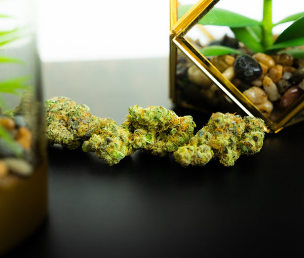 Silver Haze