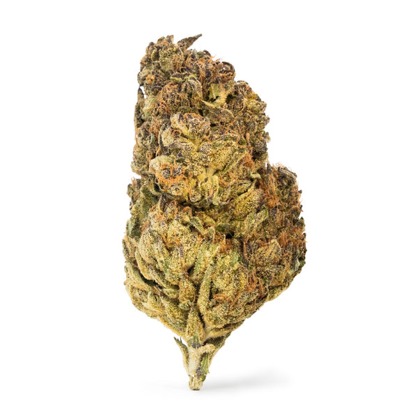 Holy Grail Tropicana
